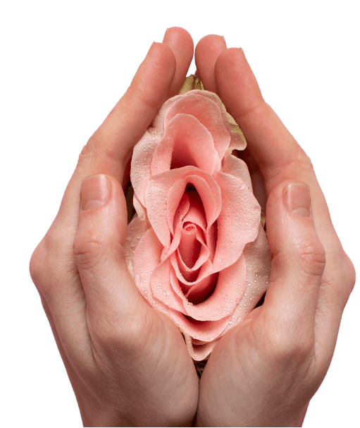 Hands holding a delicate bloom to symbolize care